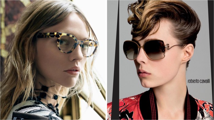 Prada_Roberto Cavalli