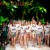 Dolce & Gabbana SS17