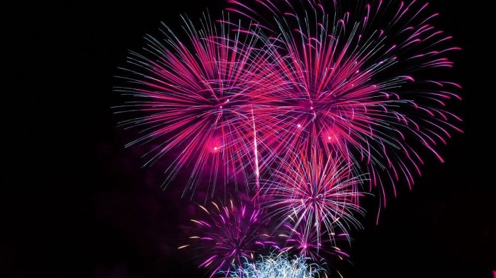 Fireworks_Celebration